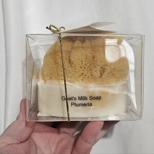 Goat Milk Sea Sponge Soap In Plumeria Scent!